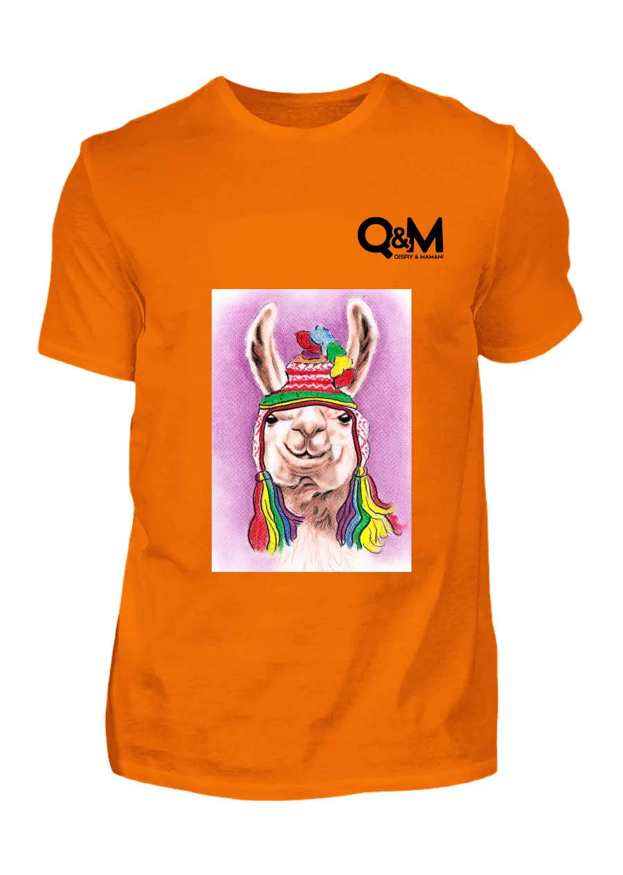 Camiseta Lama con Gorro de Colores (Hombre)